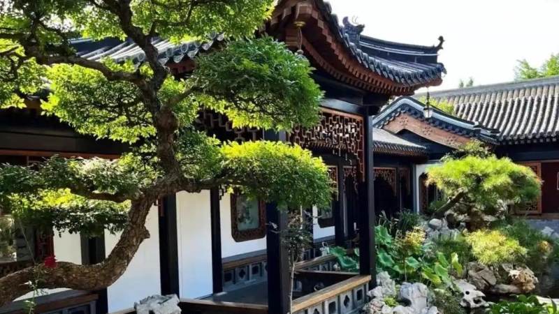 必一·运动(Bsports)市政绿化项目服务配图